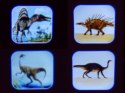 Projektor latarka 24 obrazki Dinozaury dino TA0099