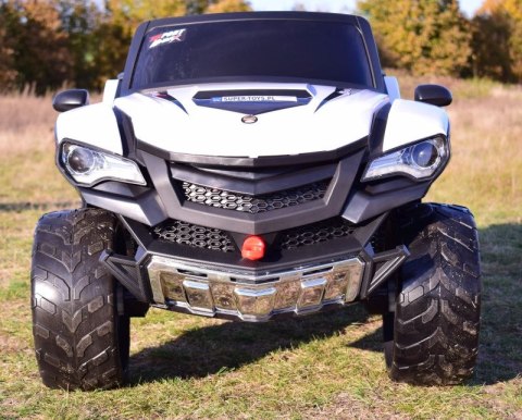 MEGA BUGGY D-MAX 4X4, FUNKCJA BUJANIA, AMORTYZATORY, WIELOFUNKCYJNY PILOT/FB6678