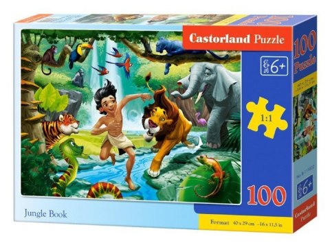 Castorland Puzzle 100 el. wzory CA0035