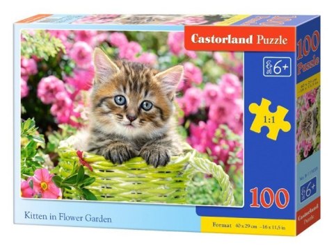 Castorland Puzzle 100 el. wzory CA0035