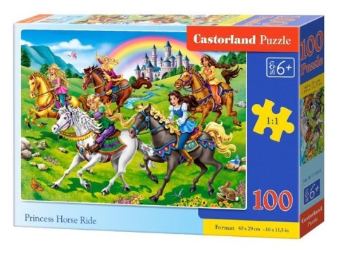 Castorland Puzzle 100 el. wzory CA0035