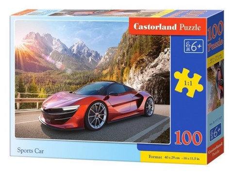 Castorland Puzzle 100 el. wzory CA0035