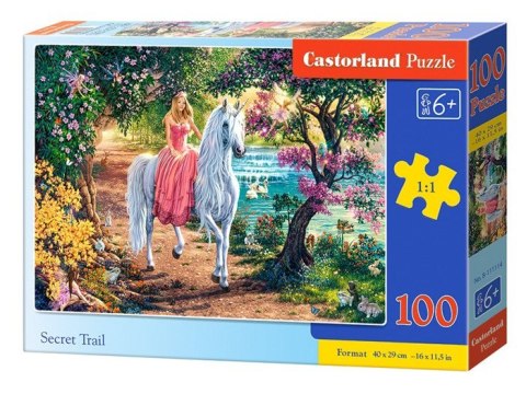 Castorland Puzzle 100 el. wzory CA0035