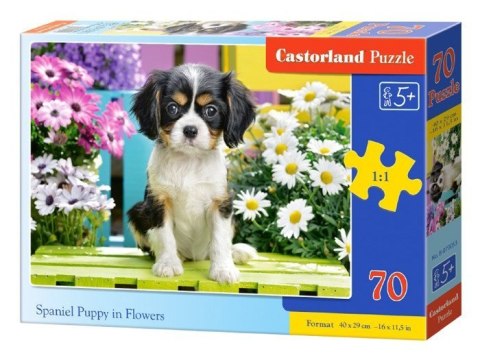 Castorland urocze Puzzle 70 elem. CA0003