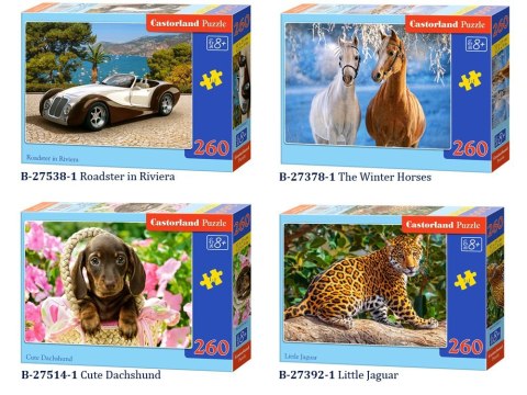 Castorland piękne Puzzle 260 elem. CLASSIC CA0009