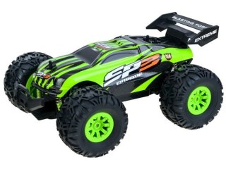 Autko BUGGY Szybka Wyścigówka Pilot 2,4GHz RC0400