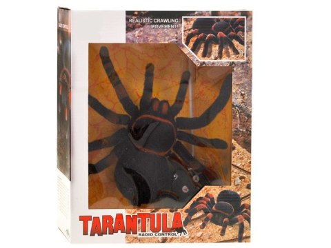 Zdalnie sterowany PAJĄK tarantula pilot RC0251