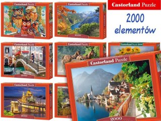 Castorland Puzzle 2000 elem. cudne obrazy CA0019