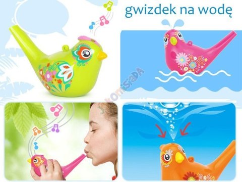 Ptaszek Gwizdek wodny Water Bird birds ZA1483