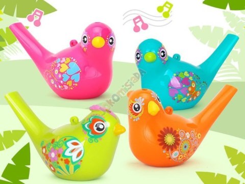 Ptaszek Gwizdek wodny Water Bird birds ZA1483