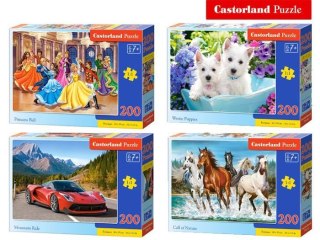 Castorland Puzzle 200 el. wzory CA0034