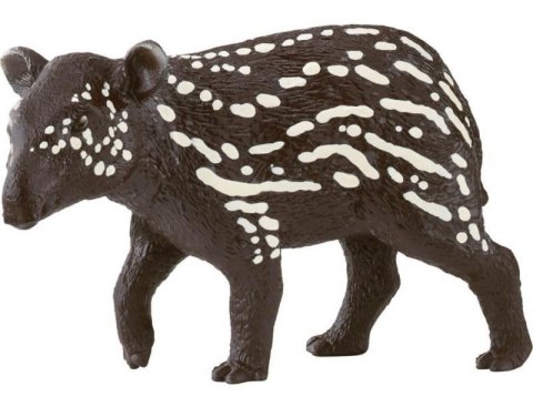 Mały tapir