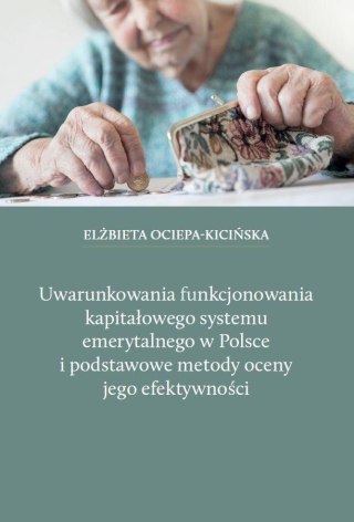 Uwarunkowania funkcjonowania kapitałowego..