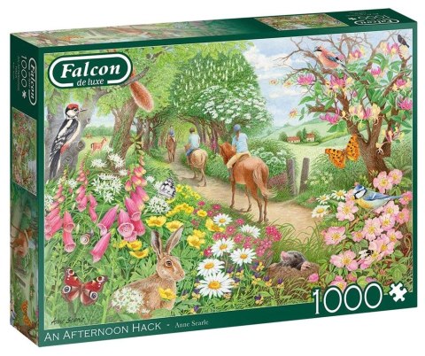 Puzzle 1000 Falcon Popołudniowa przejażdżka G3