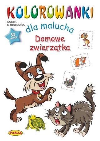 Kolorowanki dla malucha - Domowe zwierzęta