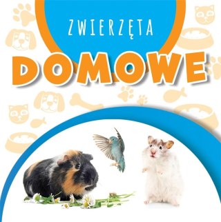 Wstęgi kartonowe. Zwierzęta domowe