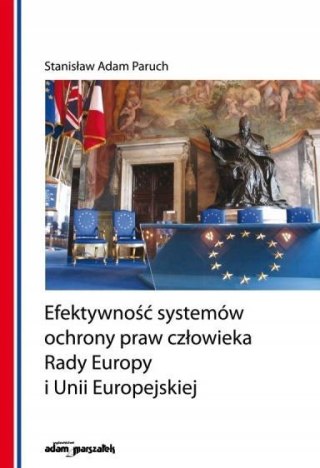 Efektywność systemów ochrony praw człowieka...