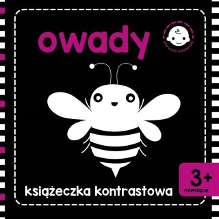 Książeczka kontrastowa. Owady