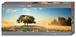 Puzzle 1000 Zabawa światłem