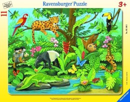 Puzzle 11 Co tu pasuje? Zwierzęta lasu deszczowego