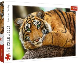 Puzzle 500 Portret tygrysa TREFL