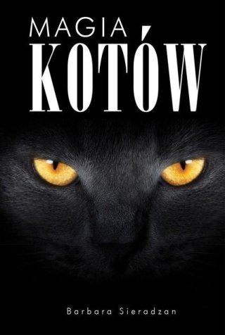 Magia kotów