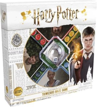 Harry Potter Triwizard Maze Game