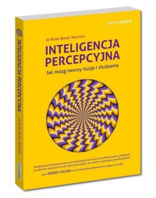 Inteligencja percepcyjna