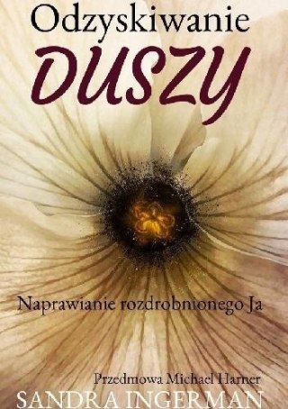 Odzyskiwanie duszy