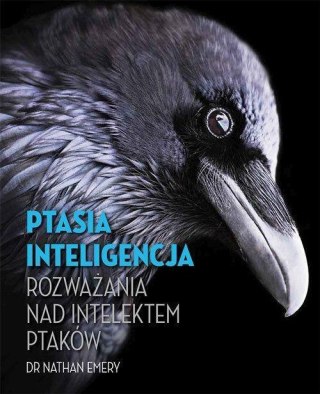 Ptasia inteligencja