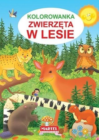 Kolorowanka. Zwierzęta w lesie