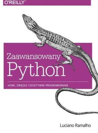 Zaawansowany Python. Jasne, zwięzłe i efek. prog.