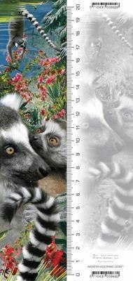 Zakładka 3D Lemur