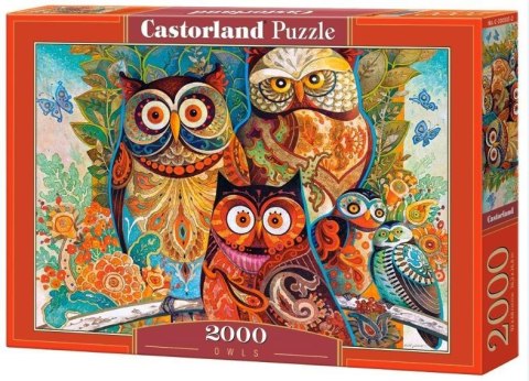Puzzle 2000 Sowy CASTOR