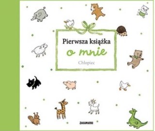 Pierwsza książka o mnie. Chłopiec