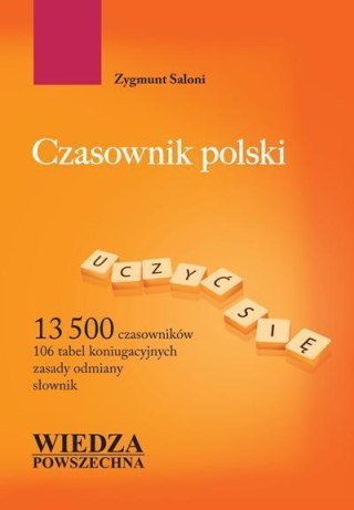 Czasownik polski