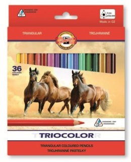 Kredki KOH-I-NOOR Triocolor 36 kolorów