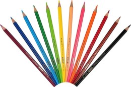 Kredki ołówkowe FLAMINGO sześciokątne 12 kolorów, tuba metalowa