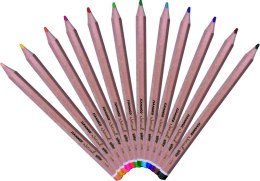 Kredki ołówkowe FLAMINGO Jumbo Natural sześciokątne 12 kolorów