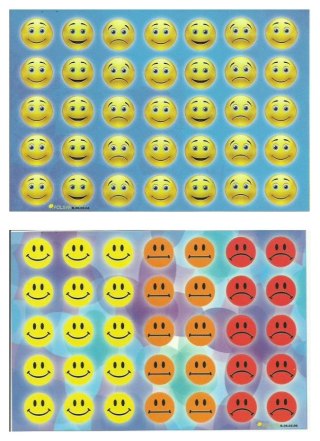 Naklejki motywacyjne POLSYR M obrazkowe buźki a&#39;25