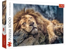 Puzzle 1000 TREFL Śpiący lew