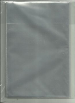 Torebka foliowa przezroczysta POLSYR 25/35 C8