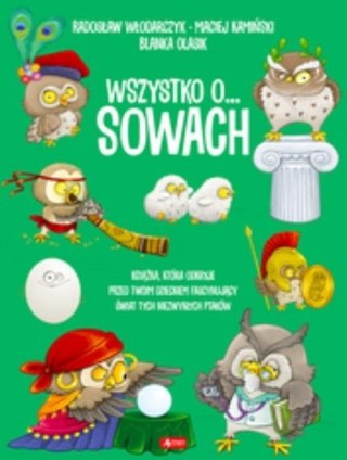 Wszystko o sowach