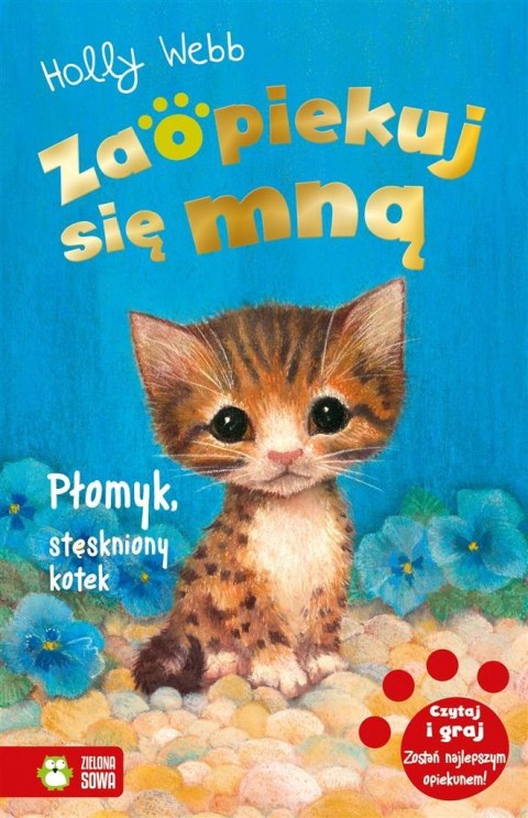 Zaopiekuj się mną. Płomyk, stęskniony kotek