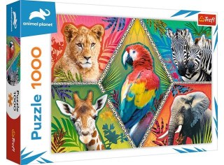 Puzzle 1000 TREFL Animal Planet - Egzotyczne zwierzęta