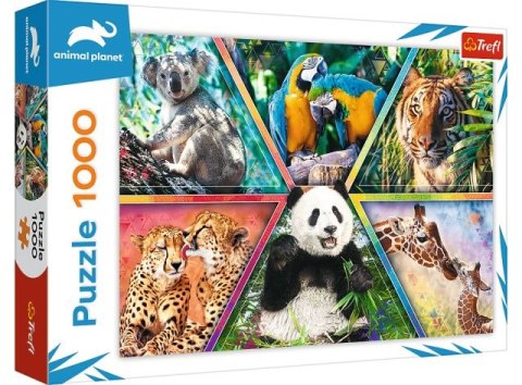 Puzzle 1000 TREFL Animal Planet - Królestwo zwierząt