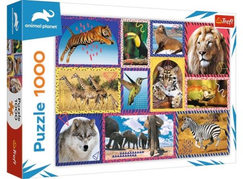 Puzzle 1000 TREFL Animal Planet - Dzika natura