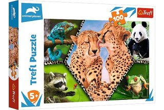 Puzzle 100 TREFL Animal Planet - Piękno natury