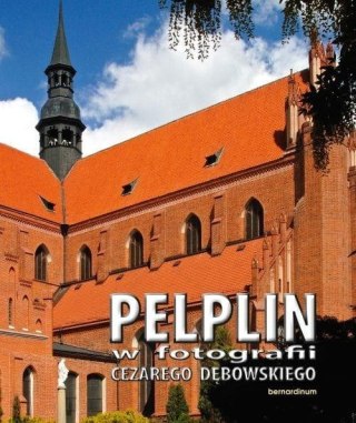 Pelplin w fotografii Cezarego Dębowskiego BR