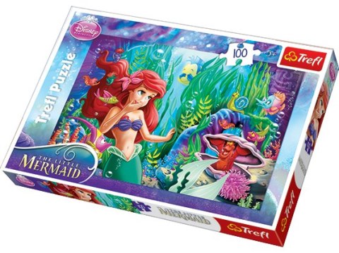 Puzzle 100 TREFL Disney Księżniczki - Zabawa w chowanego (16250)